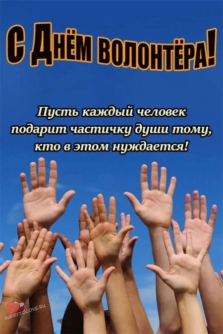 день волонтера